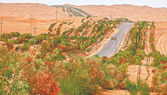 塔里木油田沙漠腹地打造“逆境园林”